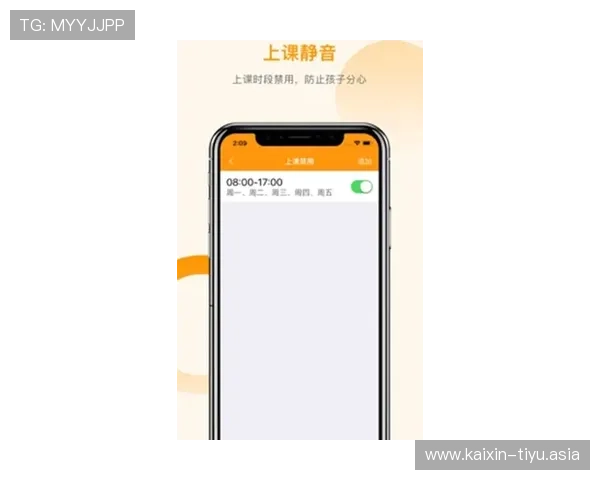亚盈体育官网入口：如何通过官方入口安全登录，避免钓鱼网站风险